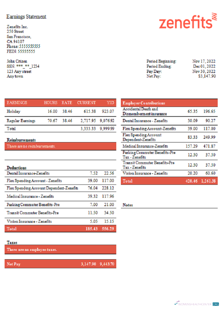 Download USA Zenefits technology company pay stub Photoshop template